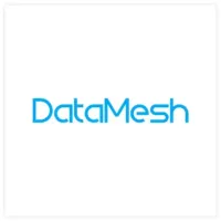 Datamesh Logo
