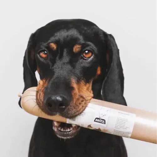 Dackel mit Wurst im Maul - Case Study: Seitz Tiernahrung